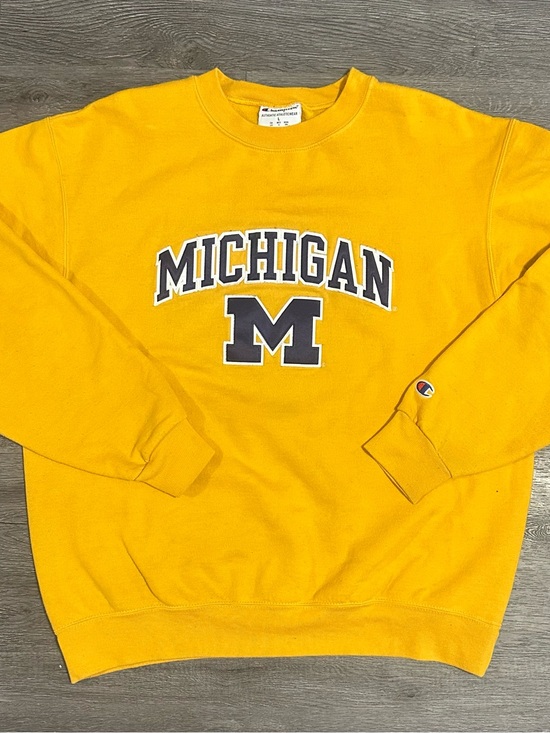 Champion Other - Michigan wolverines Champion Pullover Sweatshirt